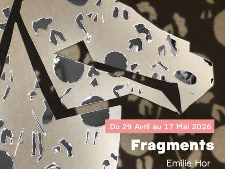 Ausstellung: Fragments, Emilie Hor