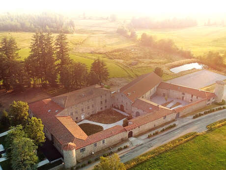 Domaine de la Diligence***