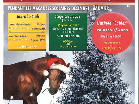 Centre équestre agasc - activités vacances de noël