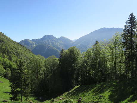 Randonnée pédestre : refuge de Mévonne