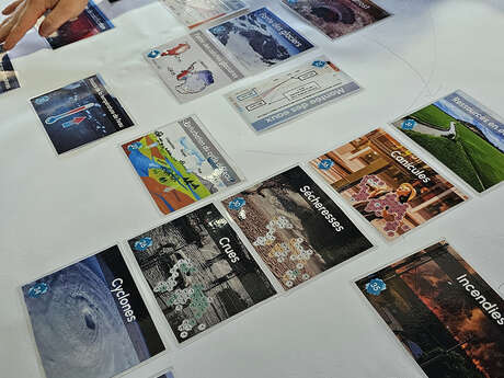 Atelier : la petite fresque de la biodiversité