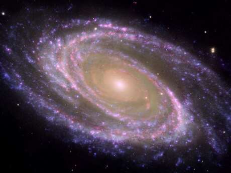 Conférence sur l'histoire de l'Univers