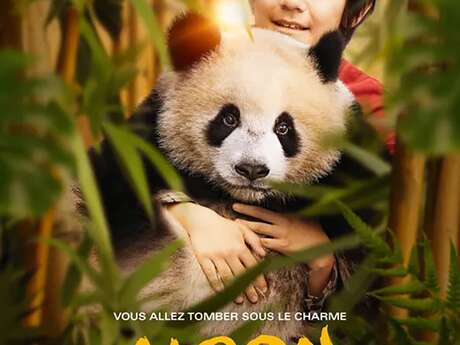 Moon le panda à la Bambouseraie en Cévennes