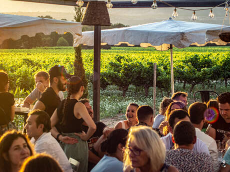 Un verre de vin dans les vignes