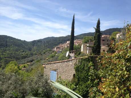 Exposition Photographies