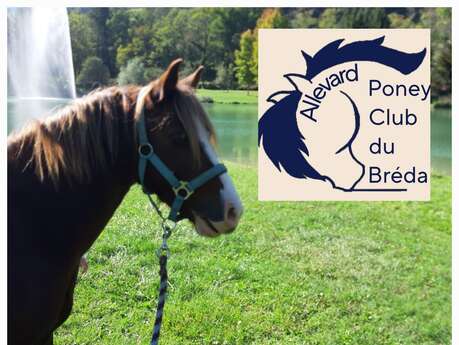Le Poney club du Bréda