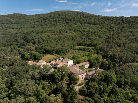 Sur la crête de la Montagne d'Artigues