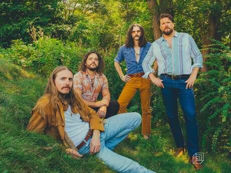 The Sheepdogs