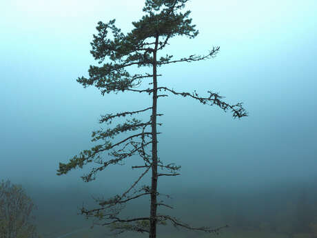 Exposition - Partir d'une page branche, de BokkaJ