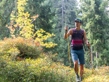 Randonnée pédestre au "Col du Jaillet"