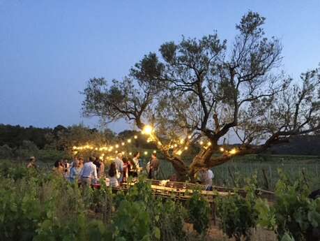 Soirées dégustation au domaine de Favanquet