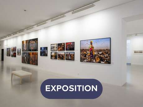 Exhibition by Daniel Giacchi