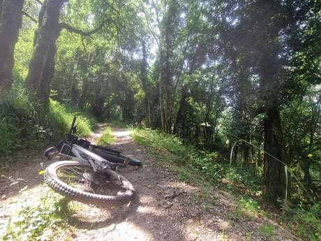 Liaison VTT (L3) Ceyzériat - Simandre sur Suran