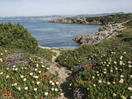 Visite guidée : Les Embiez, l'île au trésor anisé