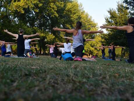Cours de Yoga Vinyasa au Mas Nouveau