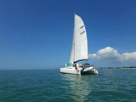 Excursión en catamarán para 8 personas con salida desde Plage de la Prise (excursión de 2 horas/media jornada/jornada completa, etc.)