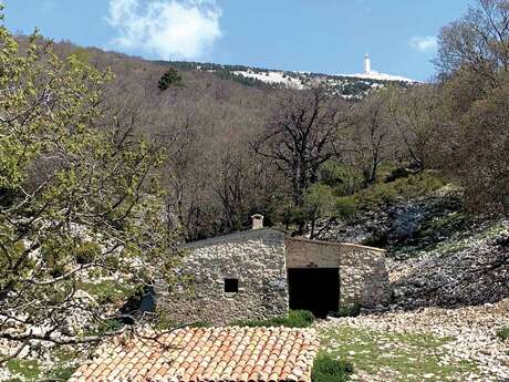 Cartonivo: Trail Tour des Jas