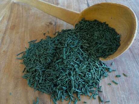 Spiruline d'Entrecasteaux