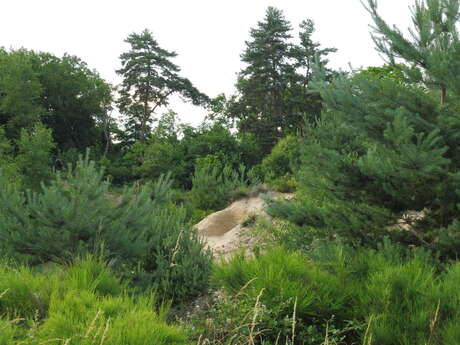 Étonnantes dunes !