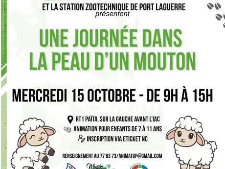 Dans la peau d'un mouton -ATUP NC
