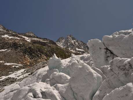 Découverte de la haute montagne en famille - Compagnie des Guides de Chamonix