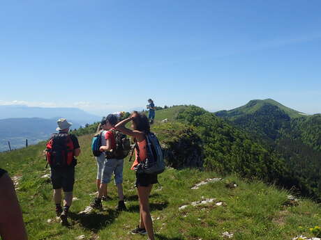 Randonnée avec un accompagnateur en montagne