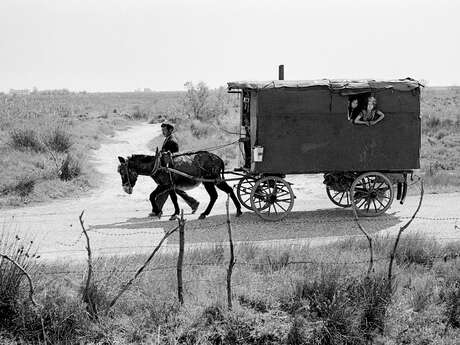 Soirée parrain : Rencontre avec Hans Silvester