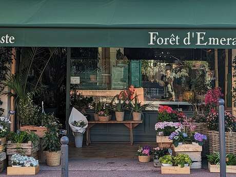 Forêt d'Emeraude