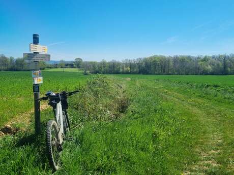 Circuit Gravel n°5 (rouge) - De la Bresse des lacs à l'étang Pontremble