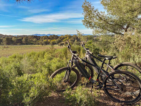 Flânerie Œnologique en VTT électrique dans les vignes à Figuière
