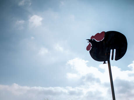 Libellules et Papillons / Balade Famille