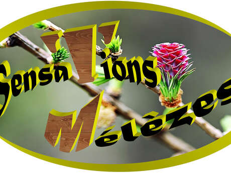 Sensations Mélèzes