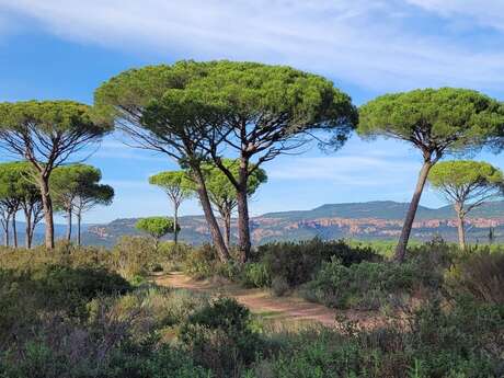 Au cœur de la nature provençale