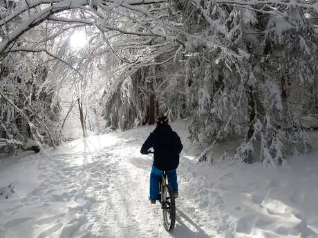 Fat Bike sobre nieve en Salève