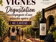 A Walk Through the Vineyards and Wine Tastings at Domaine Laurent Bellion