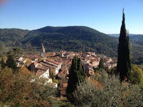 Feu d'artifice de la Saint Sylvestre Feu d'artifice de la Saint Sylvestre
