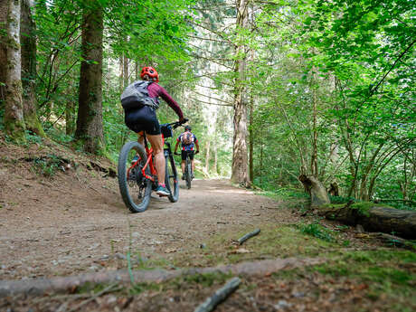 Itinéraire VTT n°1 - Les balcons du Mont-Blanc