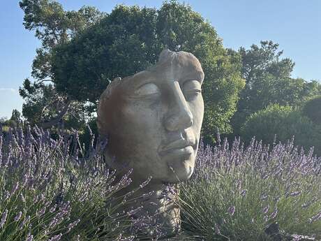 Le Camping du Lavandin