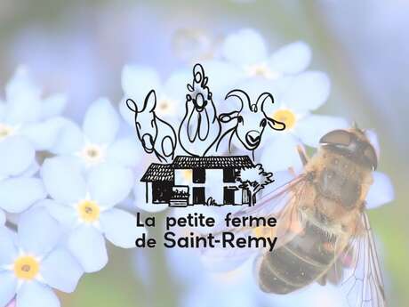 Chasse aux œufs à la Petite Ferme Pédagogique