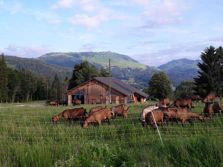 La Ferme des Moises