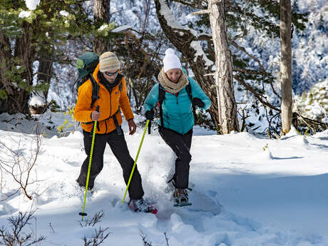Randonnée accompagnée en raquettes "Les crêtes de Chabanon"