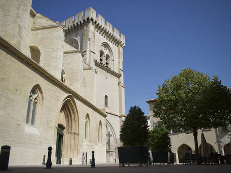 Collégiale Notre-Dame et son cloître