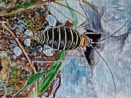 Rendez-vous nature et peinture : la biodiversité au moulin du Séchier