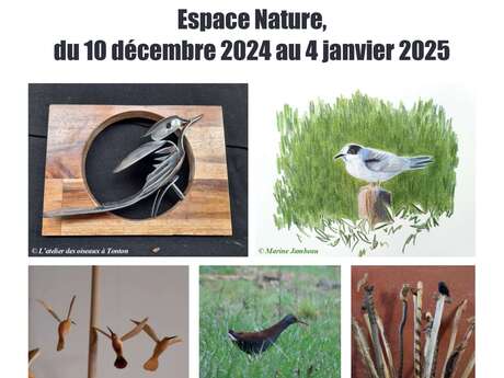 Exposition : La nature s'expose