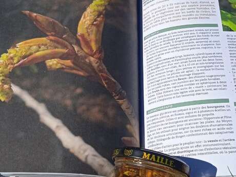 Reconnaissance de plantes et ateliers