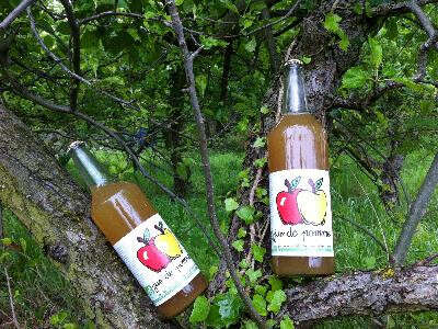 Daniel EGEA - direct sales of Apple juice and organic vegetables