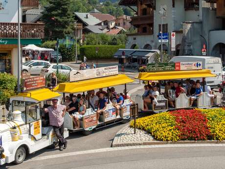Septitrain : circuits commentés à bord du petit train de Samoëns pour les groupes