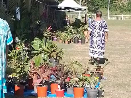 Mini-foire agricole