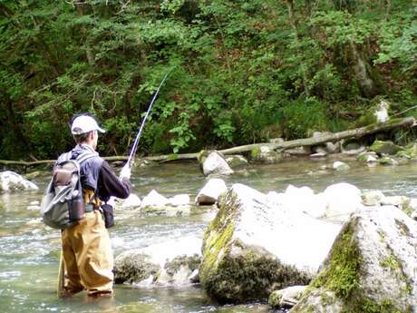 Parcours de Pêche "No Kill"