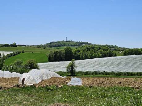 Résidence d'artiste - Vincent Beaume, photographe